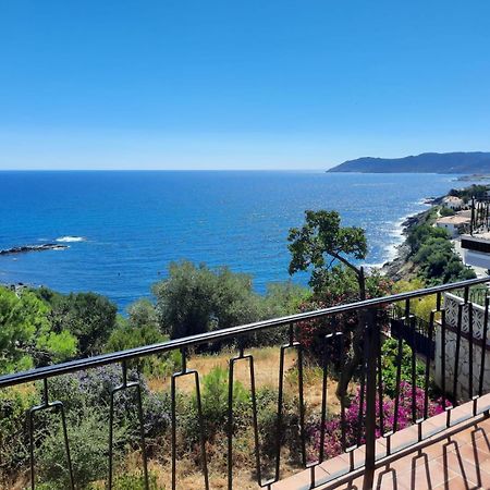 apartamento deluxe cau del llop Llança Esterno foto